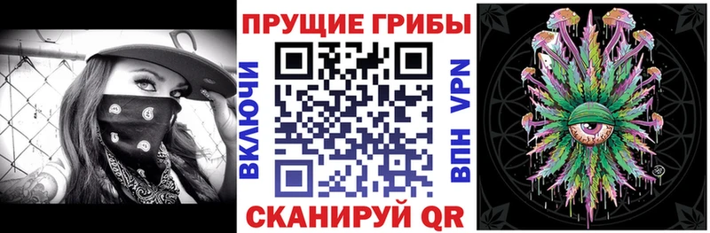 Псилоцибиновые грибы Cubensis  Беломорск 